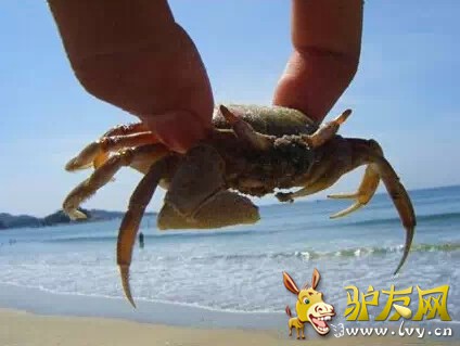 0.webp (2)_副本.jpg